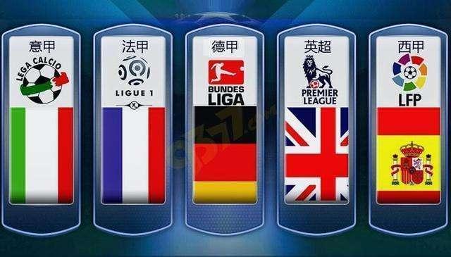 中的表现令